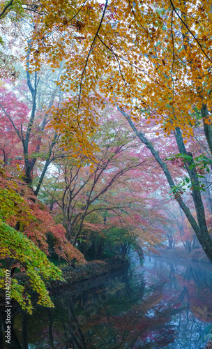 선운사 경내의 가을 풍경 © sephoto