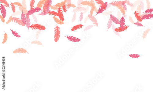 Fluffy twirled feathers on white design.