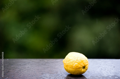 limon amalfi