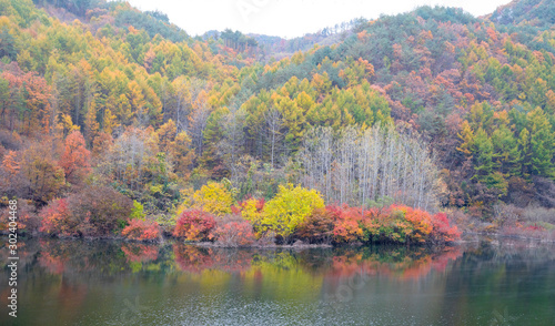 Fototapeta Naklejka Na Ścianę i Meble -  호수에 비치는 가을 풍경