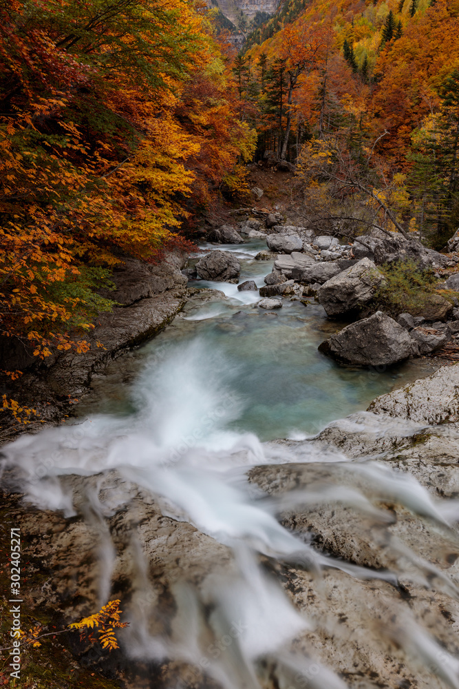 course of a river passing through orange-leafed trees in a high autumn mountain forest course of a river passing through orange-leafed trees in a high autumn mountain forest