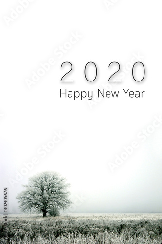 happy new year 2020. winter landscape. alone tree