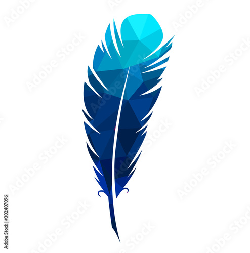 Vector illustration colored colorful magical bird feather pen writer writing