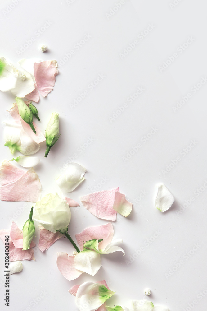 Flowers composition. Rose flower petals on white background with copy space. Gentle petals top view - obrazy, fototapety, plakaty 