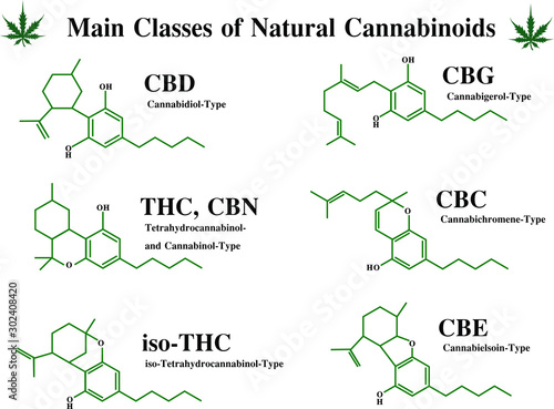 Main classes of natural cannabis skeleton chemist structure of CBD, THC, CBN, iso-THC, CBG, CBE, CBC , Cannabigerol, Cannabichromene, Cannabidiol, Tetrahydrocannabinol, Cannabinol, Cannabielsoin