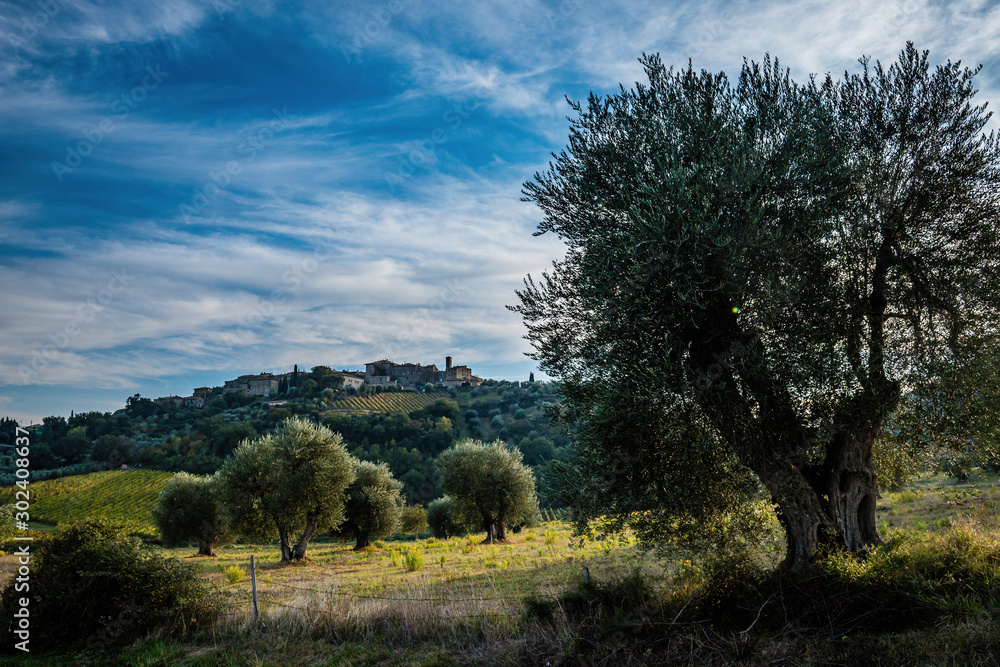 Obraz premium he Abbey of Sant'Antimo, Italian: Abbazia di Sant'Antimo, is a former Benedictine monastery in the comune of Montalcino, Tuscany, central Italy