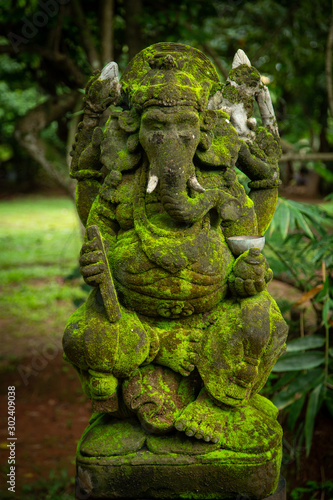 Moss Ganesh © OscarLoRo