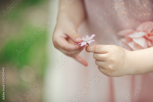 tender children's hands hold a small pink flower in their hands, with fingers, against a light spring and greenery