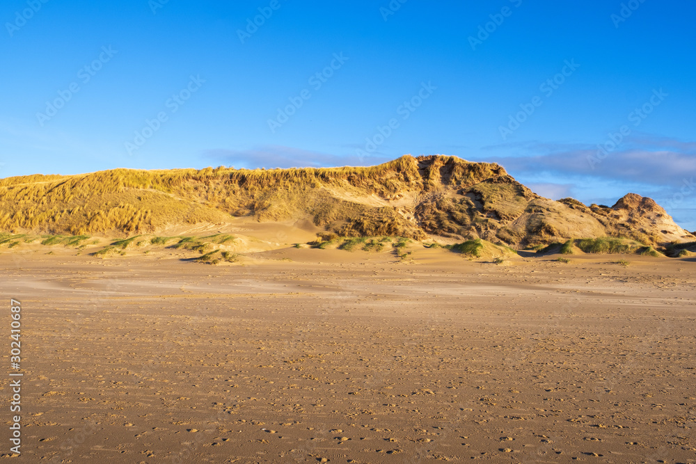 Dünen am Strand von Egmond aan Zee/Niederlande