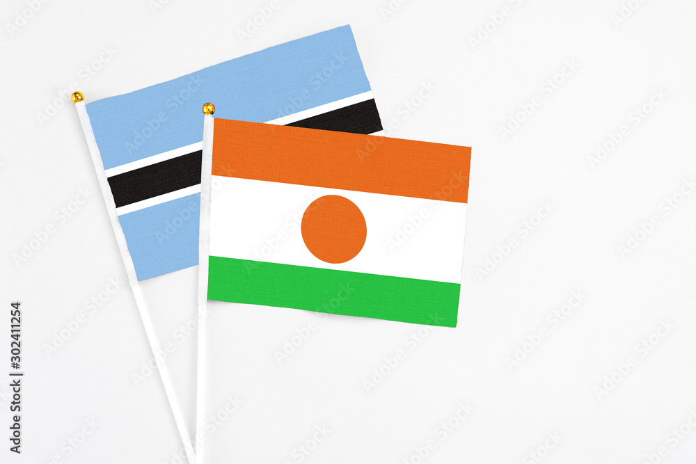 Niger and Botswana stick flags on white background. High quality fabric, miniature national flag. Peaceful global concept.White floor for copy space. Niger and Botswana stick flags on white background. High quality fabric, miniature national flag. Peaceful global concept.White floor for copy space.