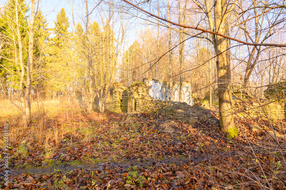 ruins in autumn forest