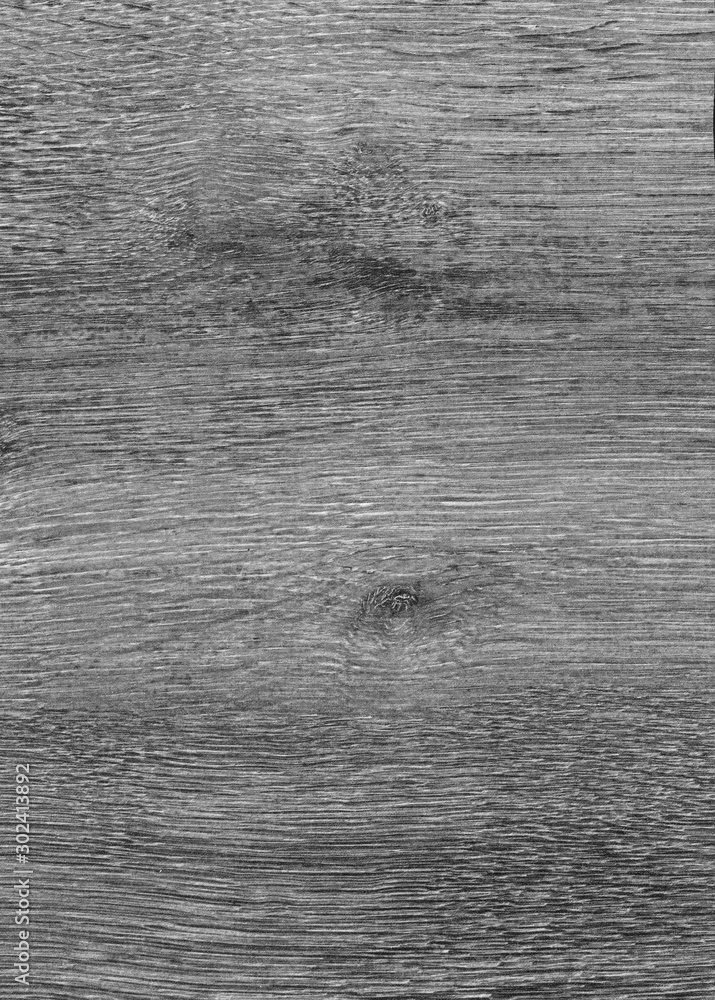 Fototapeta premium A Regular wood texture. Subtle color wooden background for natural banner. Timber surface closeup. Natural material for banner template. Wood surface background in shades of grey