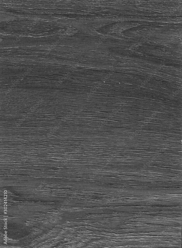 Obraz premium A Regular wood texture. Subtle color wooden background for natural banner. Timber surface closeup. Natural material for banner template. Wood surface background in shades of grey