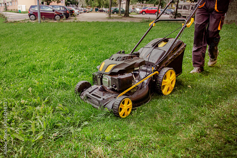 The worker mows the grass on the site, cares for the garden, uses a gasoline lawn mower. The worker mows the grass on the site, cares for the garden, uses a gasoline lawn mower.