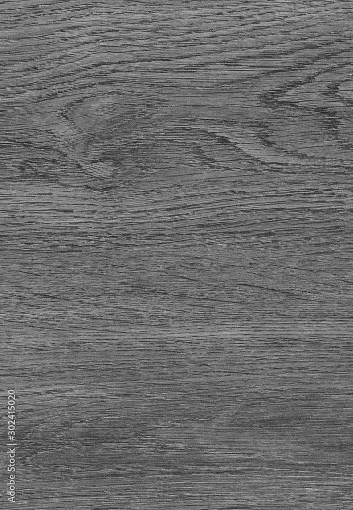 Obraz premium A Regular wood texture. Subtle color wooden background for natural banner. Timber surface closeup. Natural material for banner template. Wood surface background in shades of grey