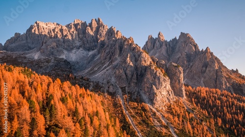 Herbst in den Dolomiten / Südtirol / Bäume / Sonnenuntergang photo