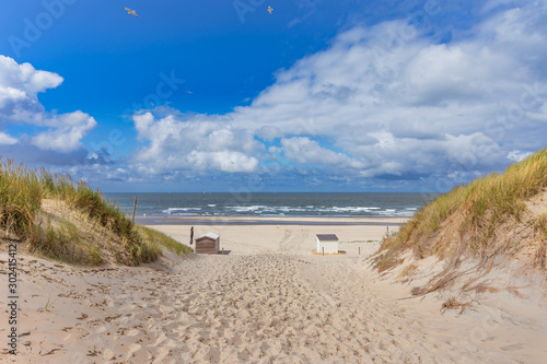 View To Long Sunny Beach Of Texel Island Netherlands