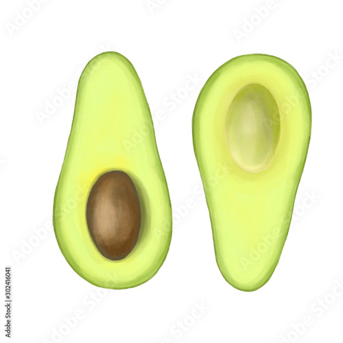 Avocado hand drawn isolated on a white background