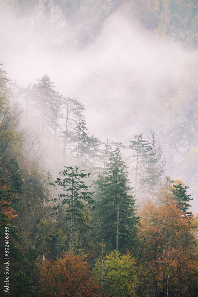 Landscape of misty autumn mountain hills  in Slovenia