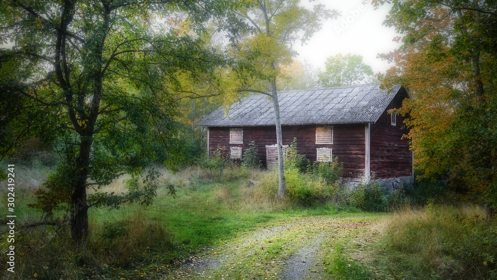 A small forest road and an old red house in the forest A small forest road and an old red house in the forest