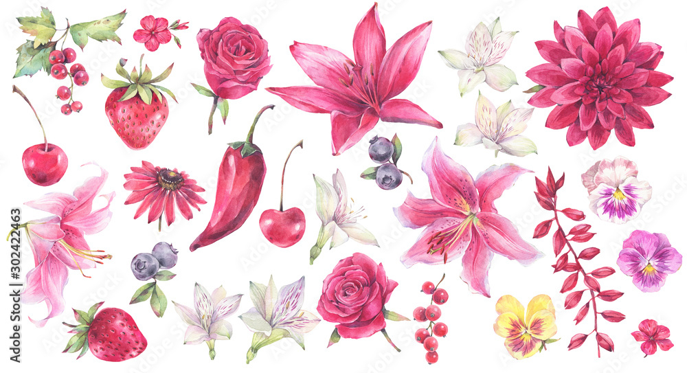 A set of red flowers, berries, lilies and pansy. Hand painted watercolor illustration.