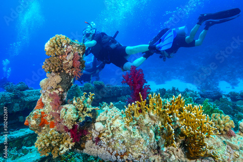 Coral Reef at the Red Sea Egypt