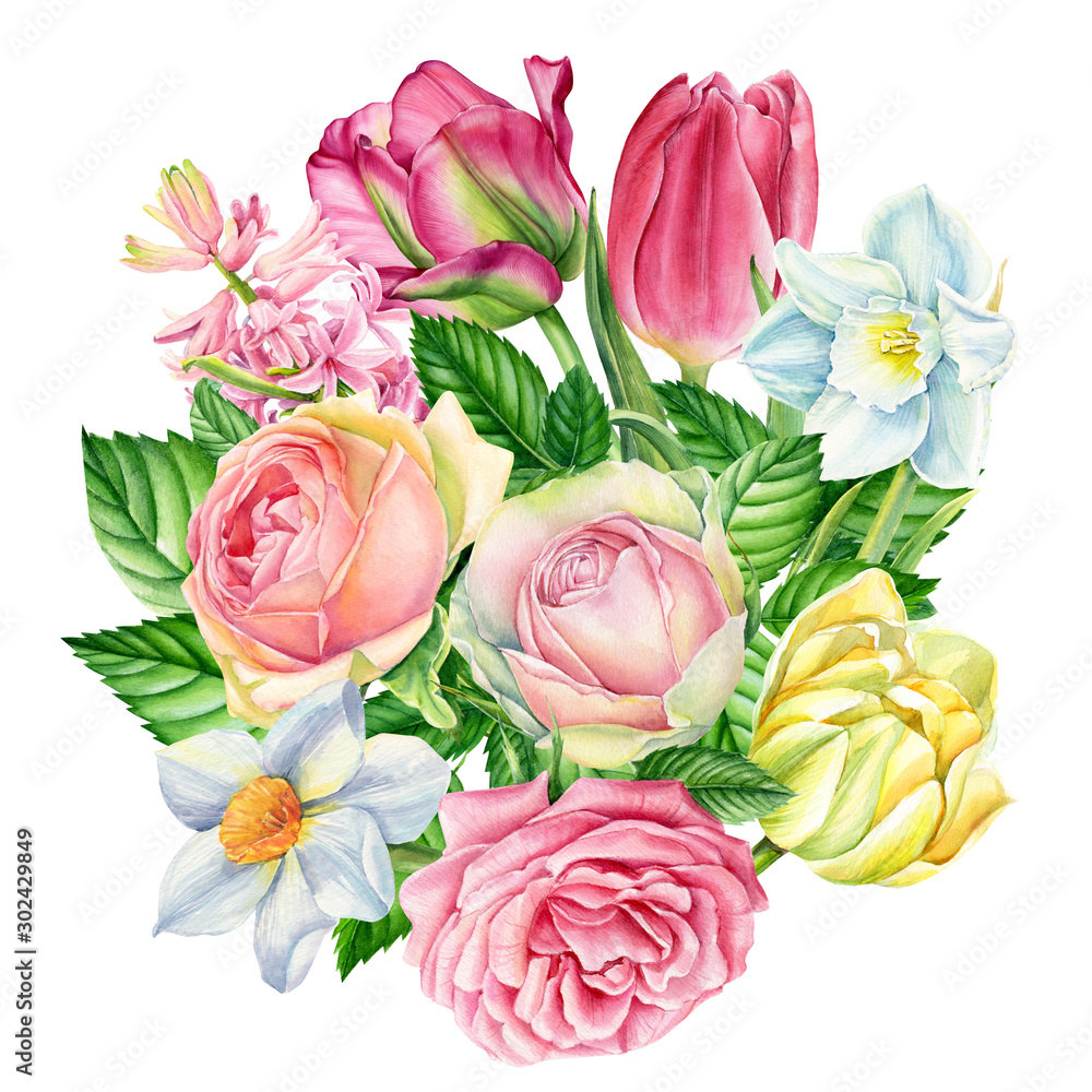 Fototapeta premium spring bouquet, flowers of roses, narcissus, tulips, hyacinths on a white background, watercolor illustration, botanical painting