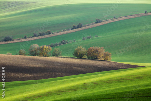 Landscape with waves green hills and autumn trees