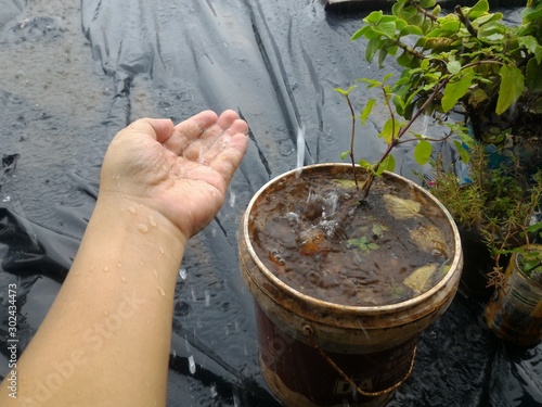 Rain fall In plant