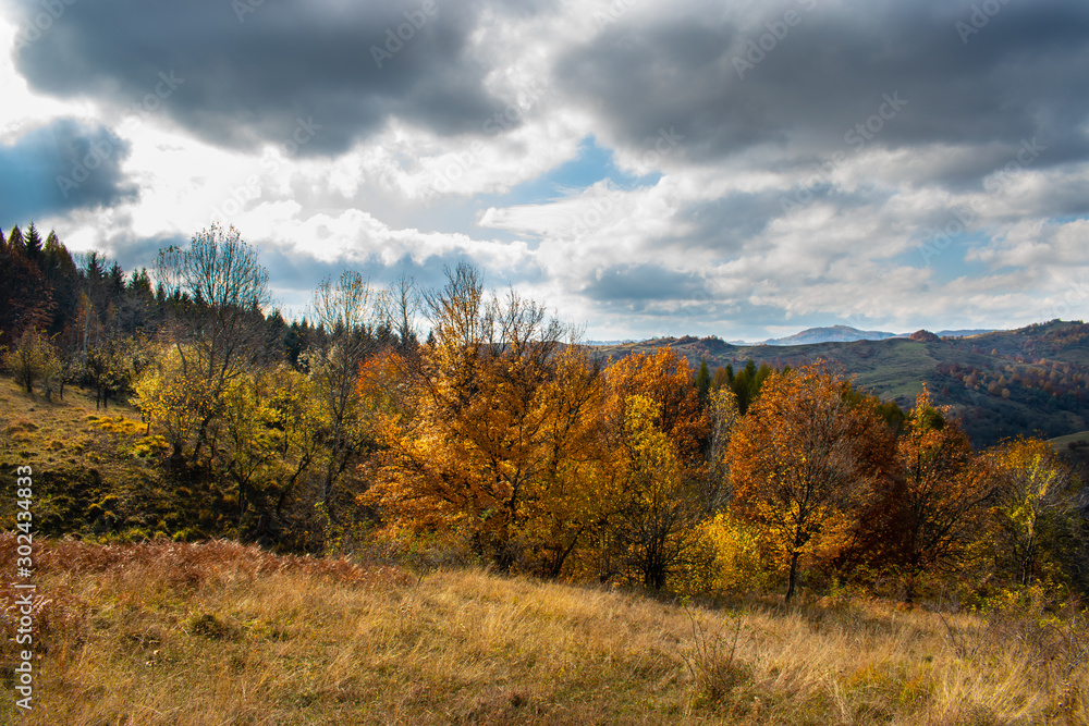 Beautiful sky and clouds over a forest on top of a hill near a small village, with autumn colored trees and autumn colors