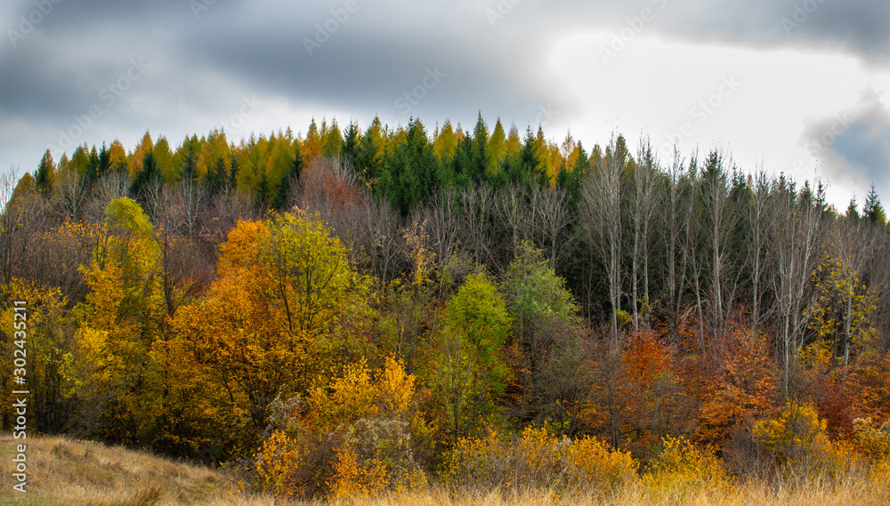 Beautiful sky and clouds over a forest on top of a hill near a small village, with autumn colored trees and autumn colors