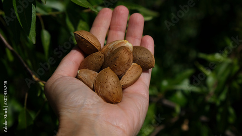 Woman holding almond nuts in hand