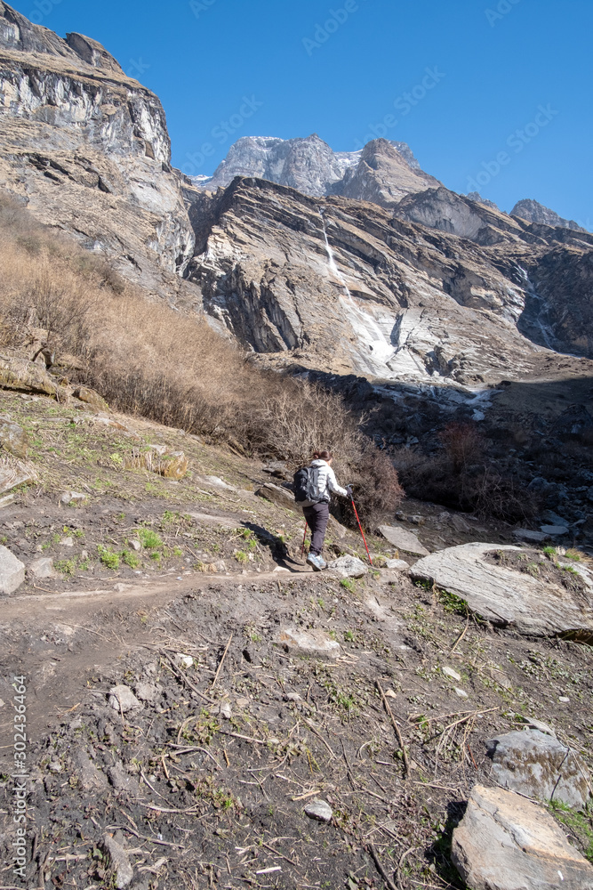 Trekker on the way to Annapurna base camp. Nepal