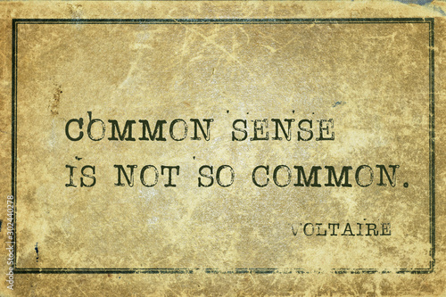 common sense Voltaire photo