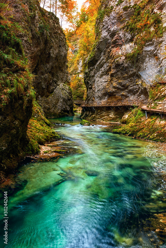 Canvas Print Famous Vintgar gorge (soteska Vintgar) or Bled Gorge (Blejski vintgar) in Slovenia