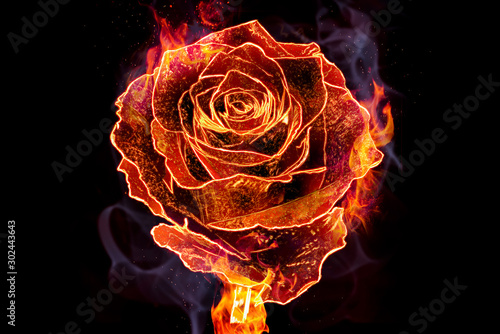 Flower rose in flames is on the black background. Happy Valentine's Day