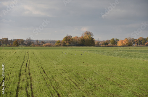 Autumn landscape on the countryside in Poland. 