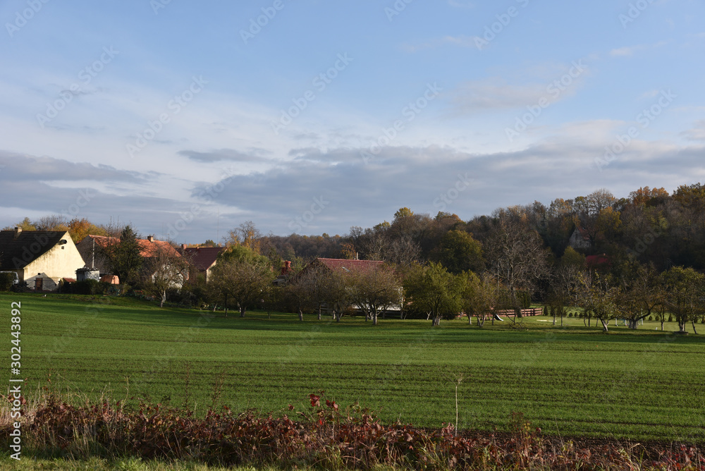 Fototapeta premium Autumn landscape on the countryside in Poland. 