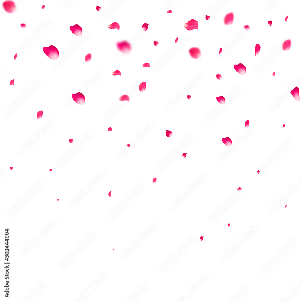 Pink falling petals falling. Rose flower pastel background. Pink falling petals falling. Rose flower pastel background.