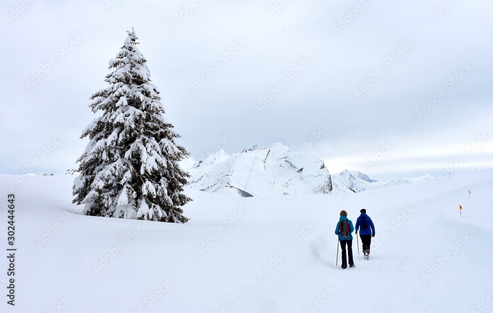 Two ladies making a beautiful white walk high in the mountains in the Alps, France