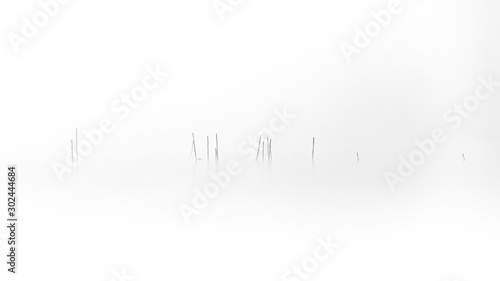 Fischerreuse im Nebel
