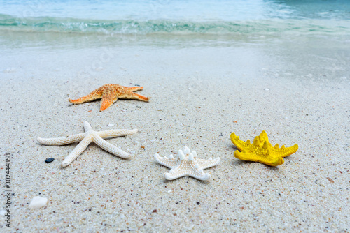 Starfish on the sand beach on sunny day with the beautiful sea water on holiday time concept summer on the beach for relax time. photo