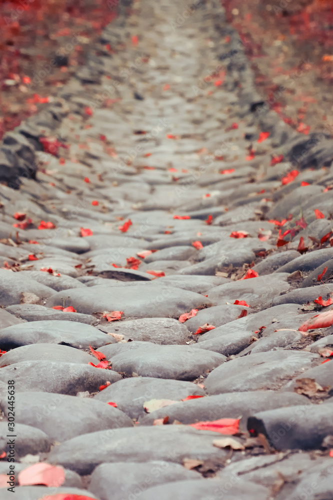 Fototapeta premium Stone path with fallen red autumn leaves