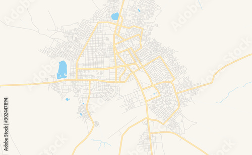 Printable street map of Zinder, Niger photo