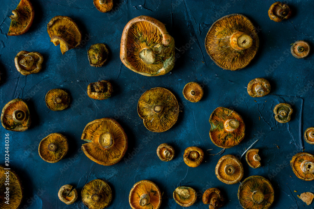 Fresh mushrooms with blue background Fresh mushrooms with blue background