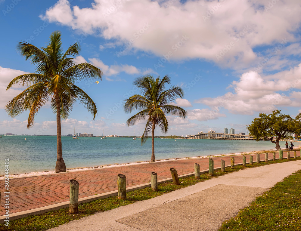 Miami city promenade with palm trees and bay view. USA. Florida.