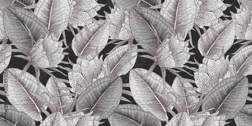 Seamless floral pattern with tropical flowers on dark background. Template design for textiles, interior, clothes, wallpaper. Vector illustration.  Botanical art.  Engraving style