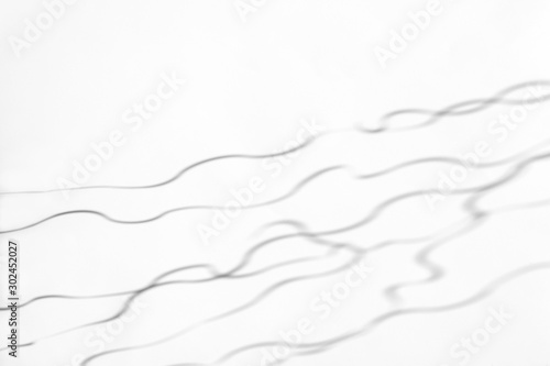 Organic drop abstract diagonal curvy lines shadow on a white wall, overlay effect for photo and mockups