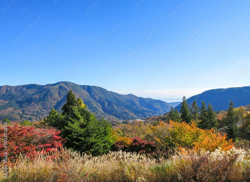 秋の箱根の景色 Stock Photo Adobe Stock 秋の箱根の景色 Stock Photo Adobe Stock