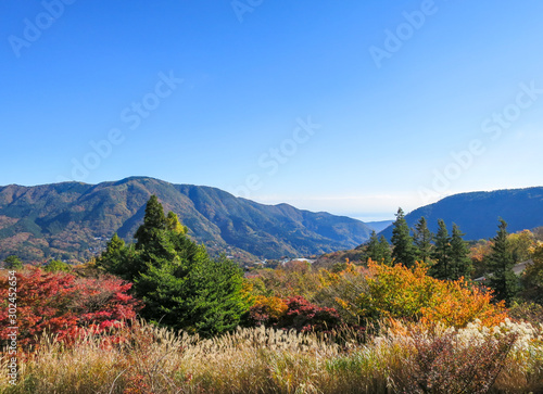 秋の箱根の景色